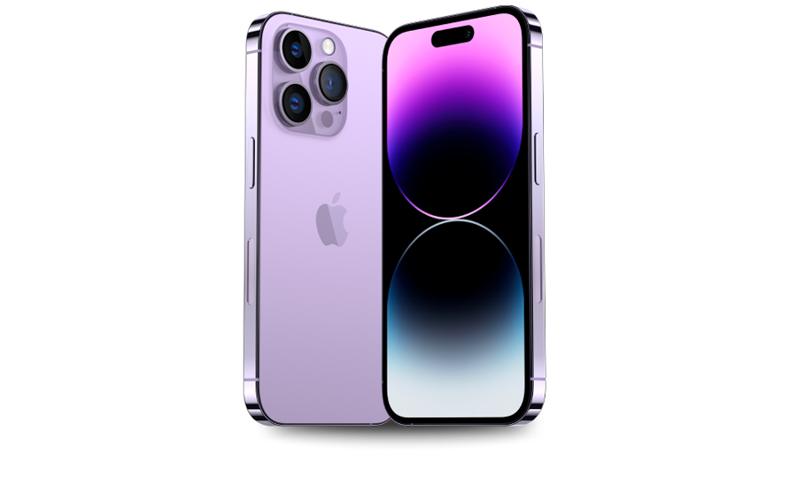 Mega Sale Madness! Enjoy 50% off